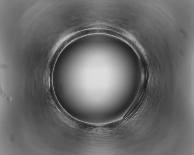 X0000091101368200708061411