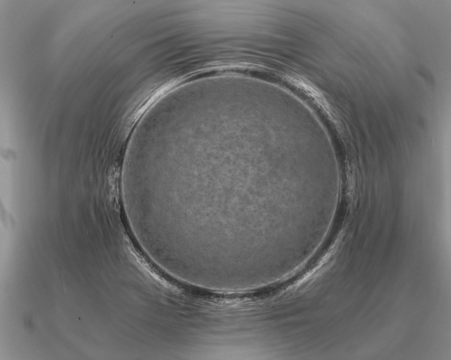 X0000091101369200708061411