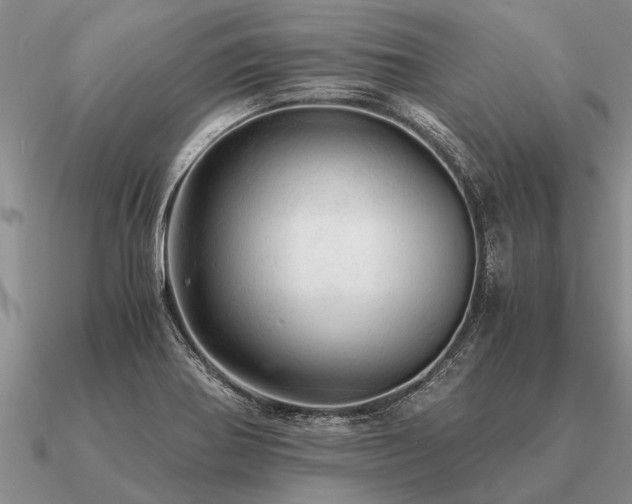 X0000091101370200708061411