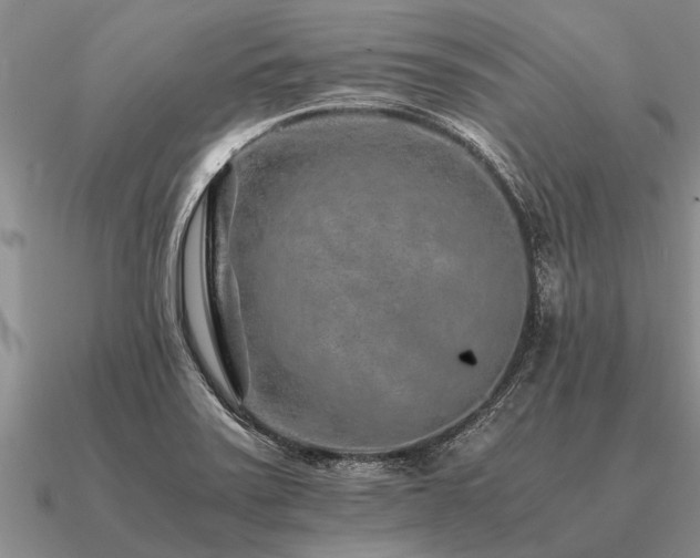 X0000091101371200708061411