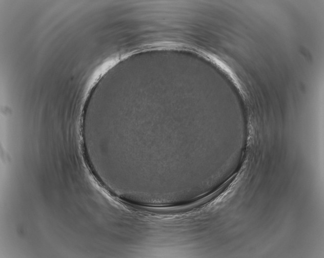 X0000091101373200708061411