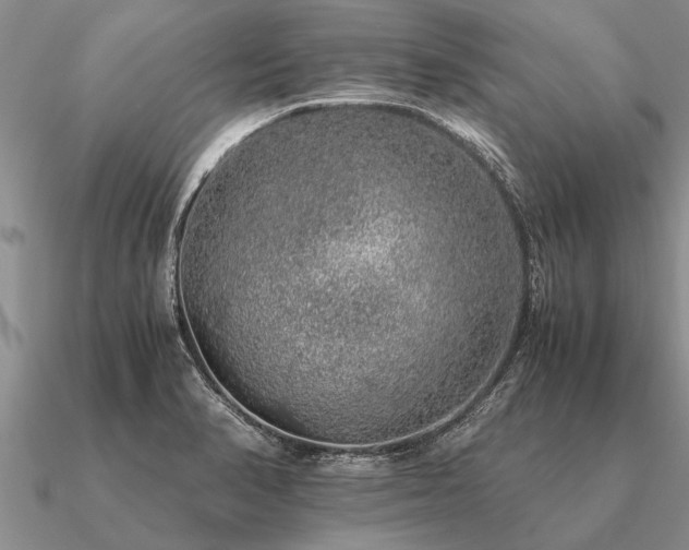 X0000091101374200708061411