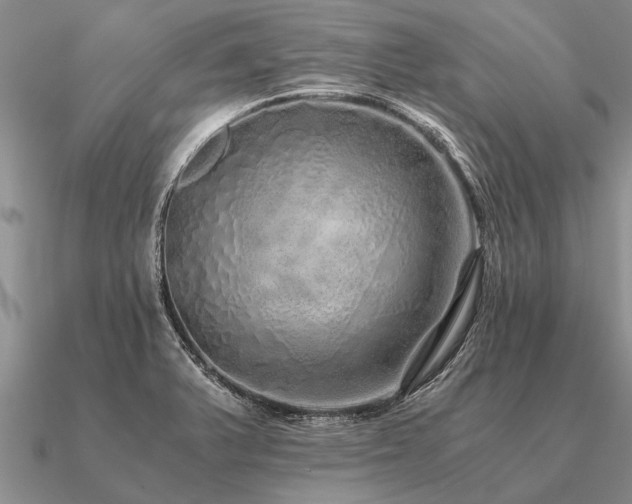 X0000091101375200708061411