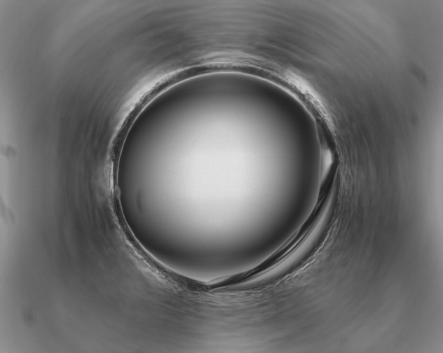 X0000091101376200708061411