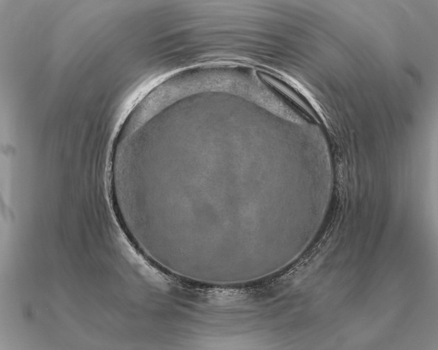 X0000091101379200708061411