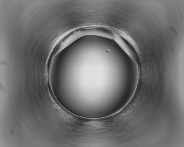 X0000091101380200708061411