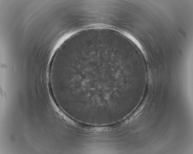 X0000091101381200708061411