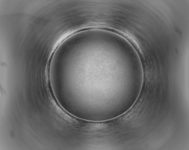 X0000091101382200708061411