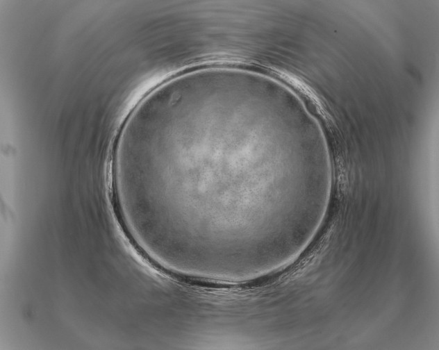 X0000091101383200708061411