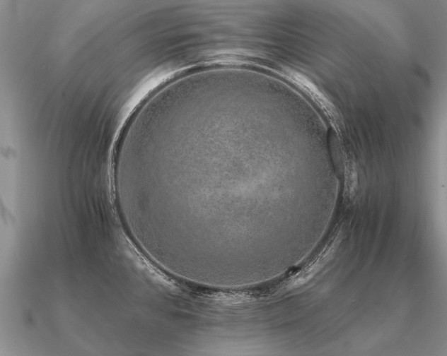 X0000091101384200708061410