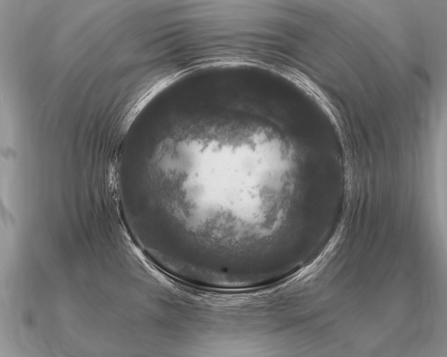 X0000091101385200708061410