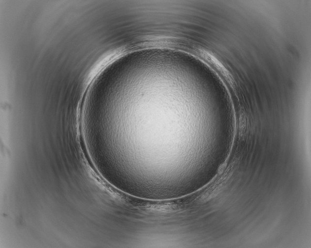 X0000091101386200708061410