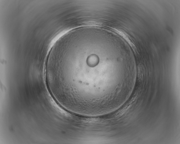 X0000091101387200708061410