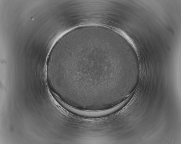 X0000091101388200708061410