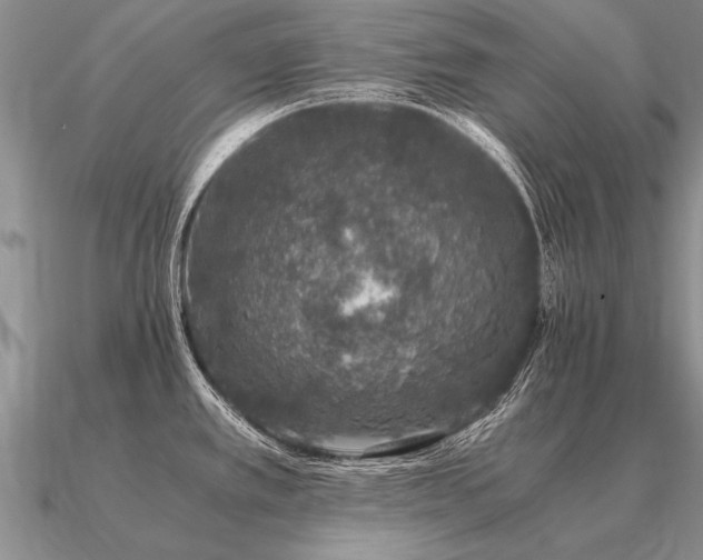 X0000091101389200708061410