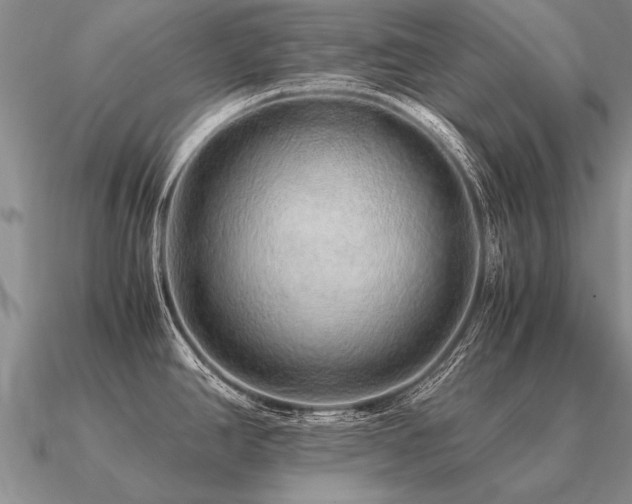 X0000091101390200708061410