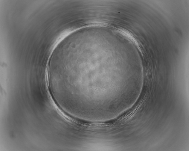 X0000091101391200708061410