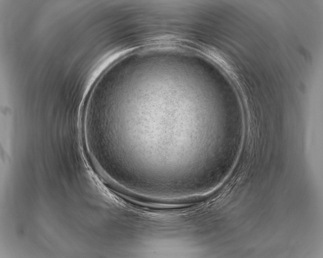 X0000091101392200708061410