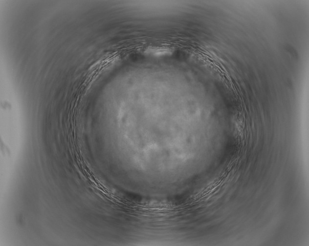 X0000091101393200708061410