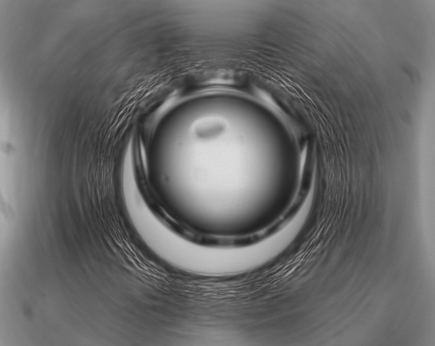 X0000091101394200708061410