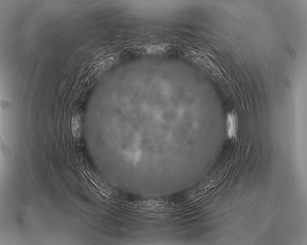 X0000091101395200708061410