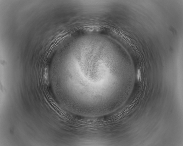 X0000091101396200708061410