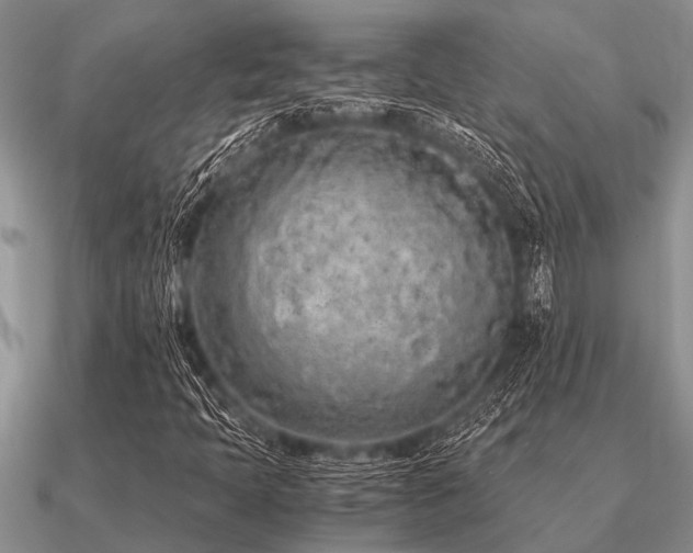 X0000091101397200708061410