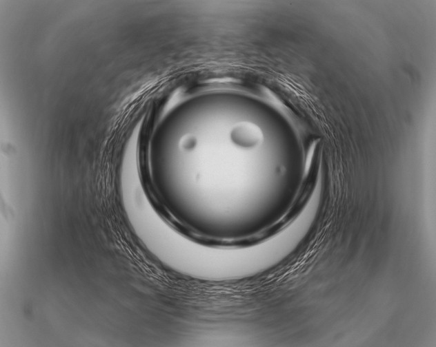 X0000091101398200708061410