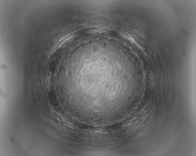 X0000091101399200708061410