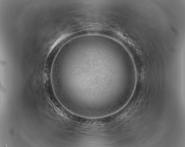 X0000091101400200708061410