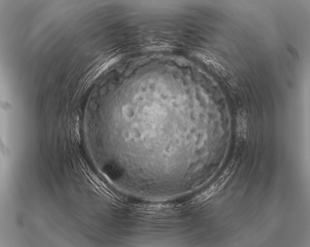 X0000091101401200708061410