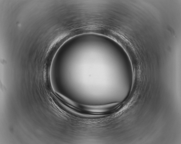 X0000091101402200708061410