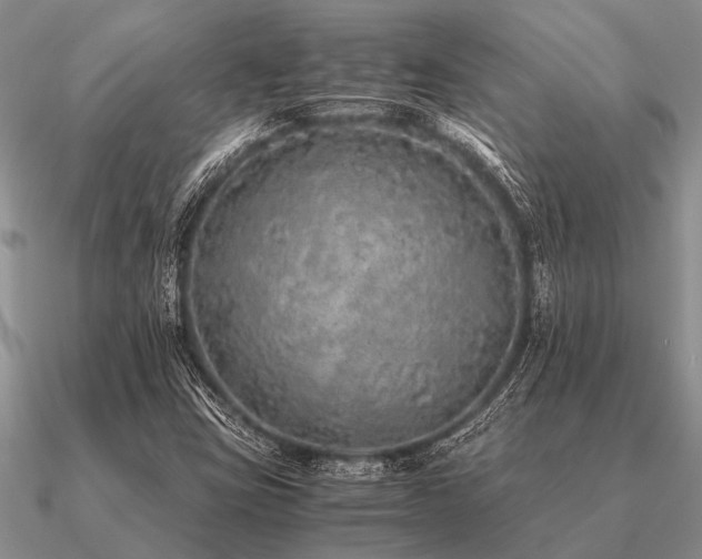 X0000091101403200708061410