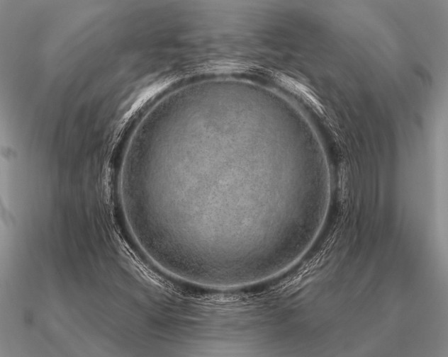 X0000091101404200708061410