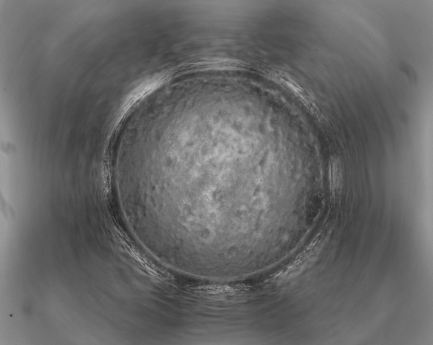 X0000091101405200708061410