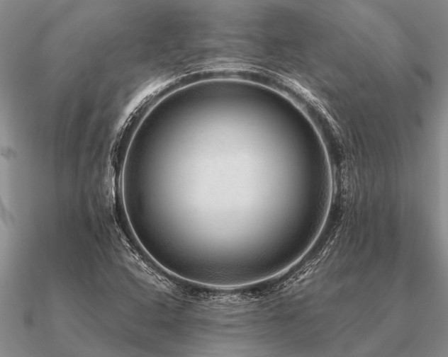 X0000091101408200708061410