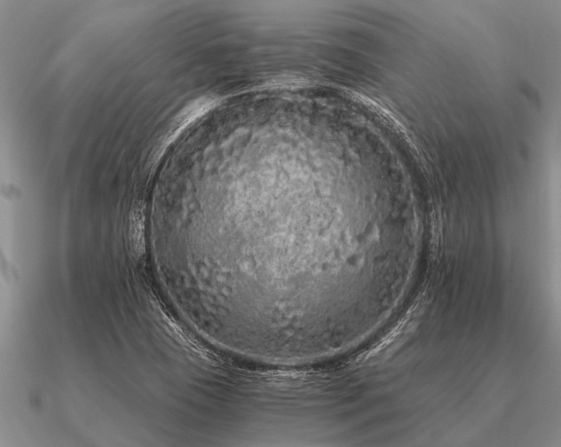 X0000091101409200708061410