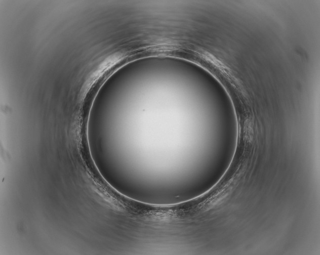 X0000091101410200708061410