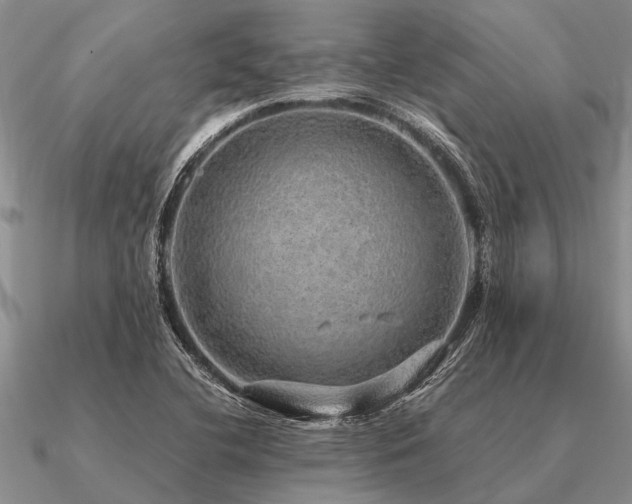 X0000091101412200708061410