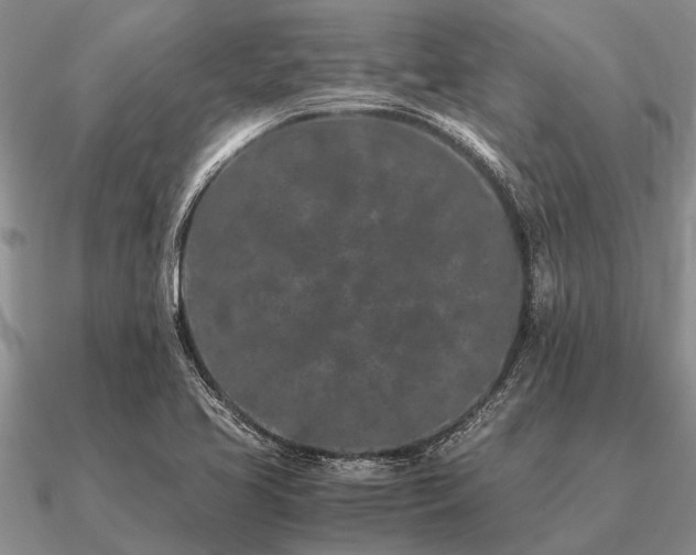 X0000091101413200708061410