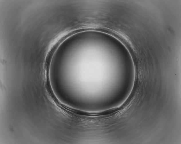 X0000091101414200708061410