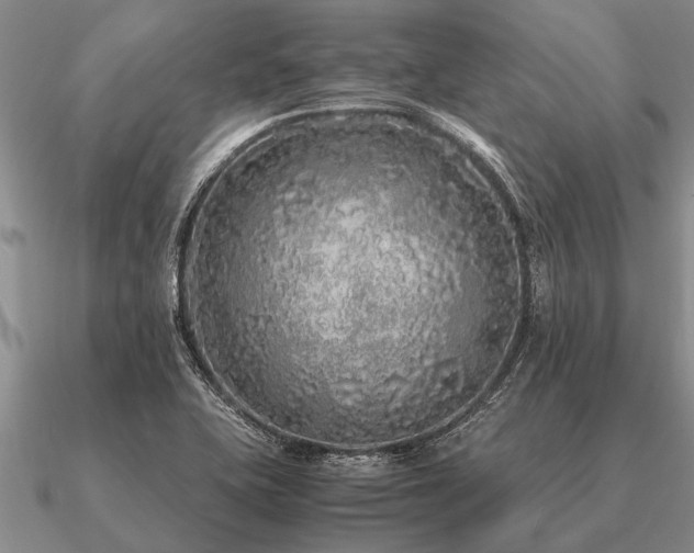 X0000091101415200708061410