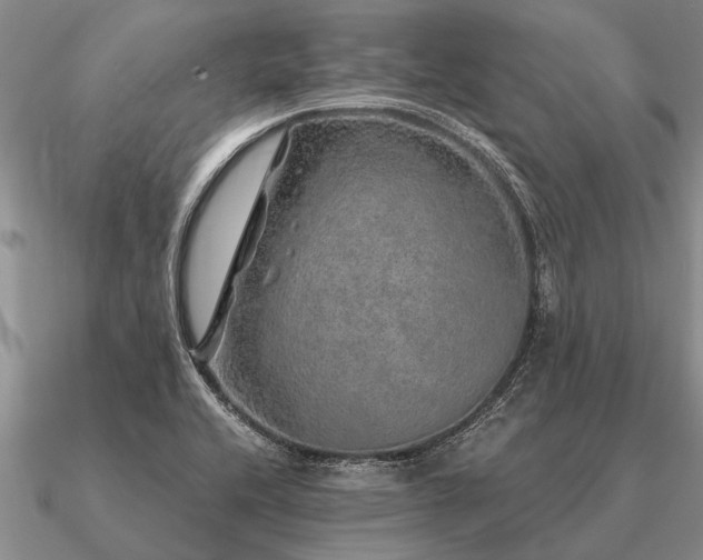 X0000091101416200708061410