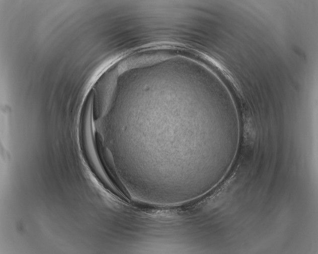 X0000091101418200708061410