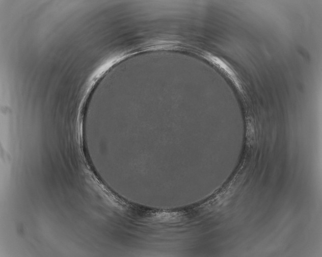 X0000091101419200708061410