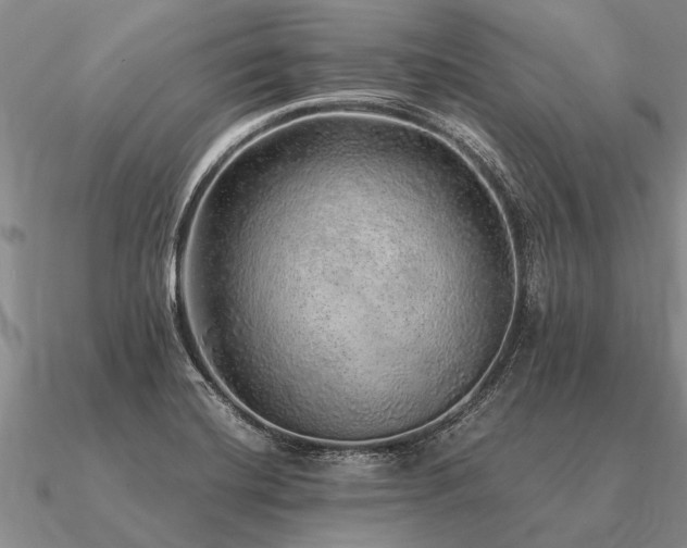 X0000091101420200708061410