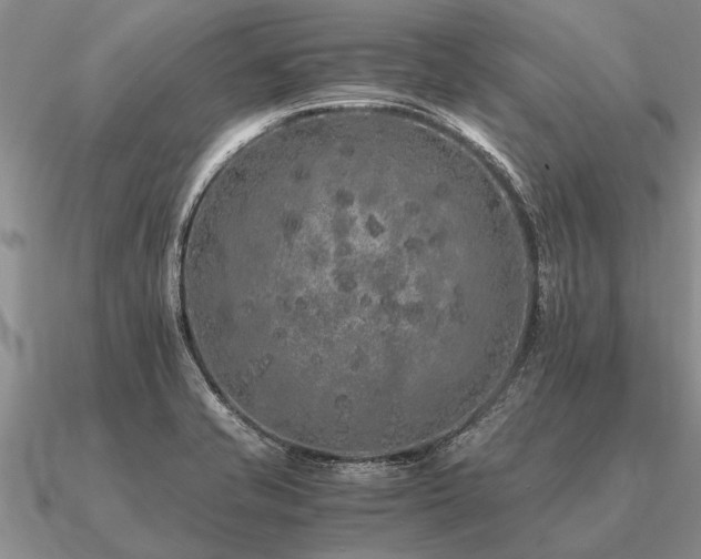 X0000091101421200708061410