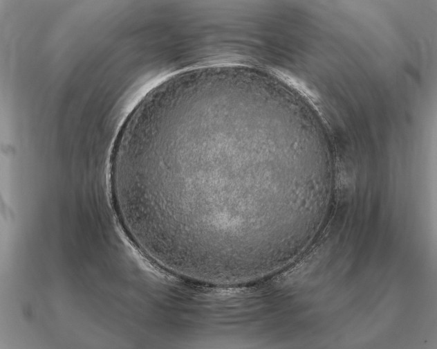 X0000091101423200708061410