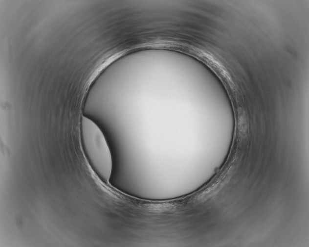 X0000091101425200708061410