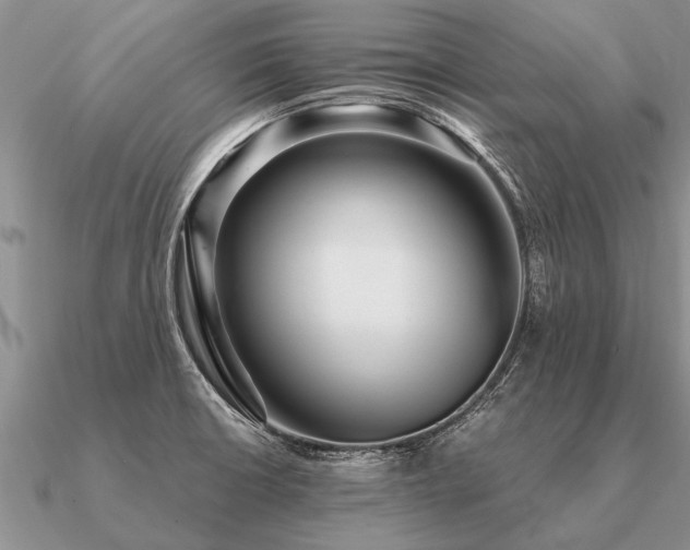 X0000091101426200708061410